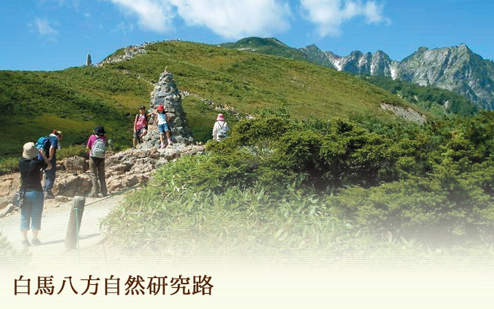 白馬八方尾根自然研究路
